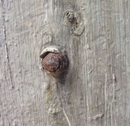 Śruba w betonie wylewce